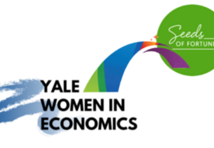 Women in Economics Logo