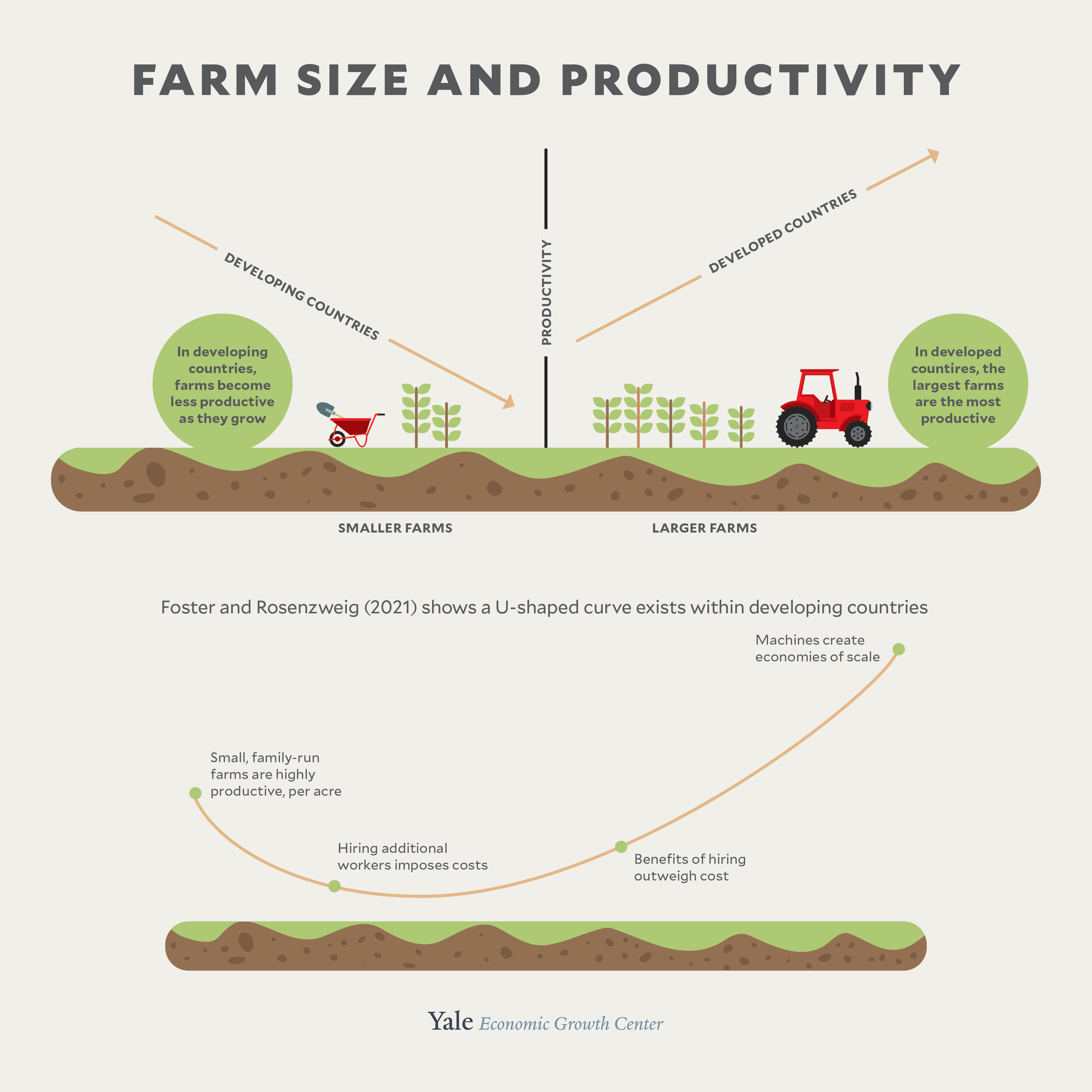 an infographic depicting farm size and productivity