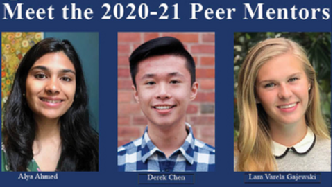2020 Peer Mentors